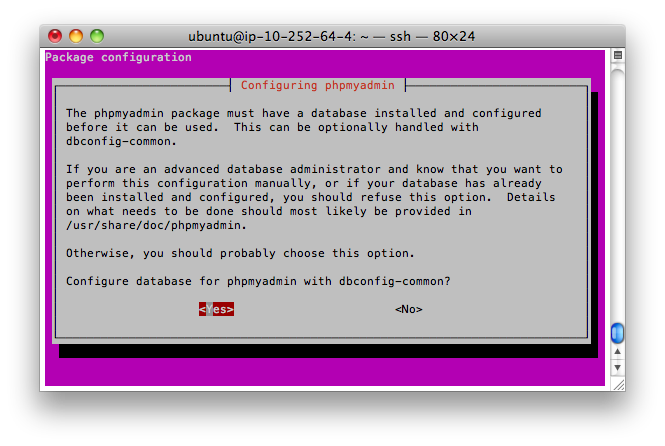 ssh ubuntu ec2 install phpmyadmin choose server